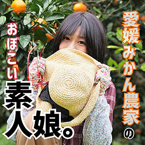 LADY-386 mandarin orange